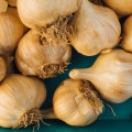 The Surprising Side Effects of Garlic Tablets