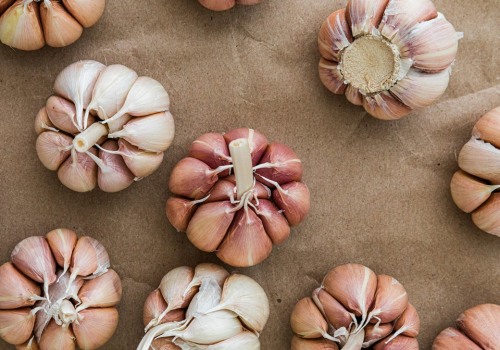 The Healing Power of Garlic: A Clove a Day Keeps the Infection Away