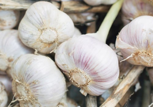 The Surprising Benefits of Garlic Pills